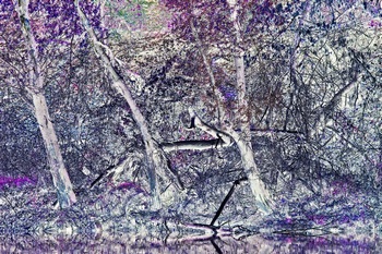 T 020C